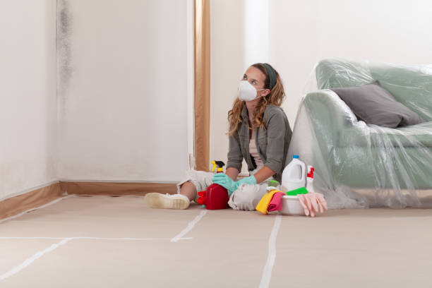 Reliable Black Mold Remediation contractor in Ball Ground, GA by 24 Hour Mold Removal